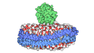 The early-stage website of FEBS 2023 is launched